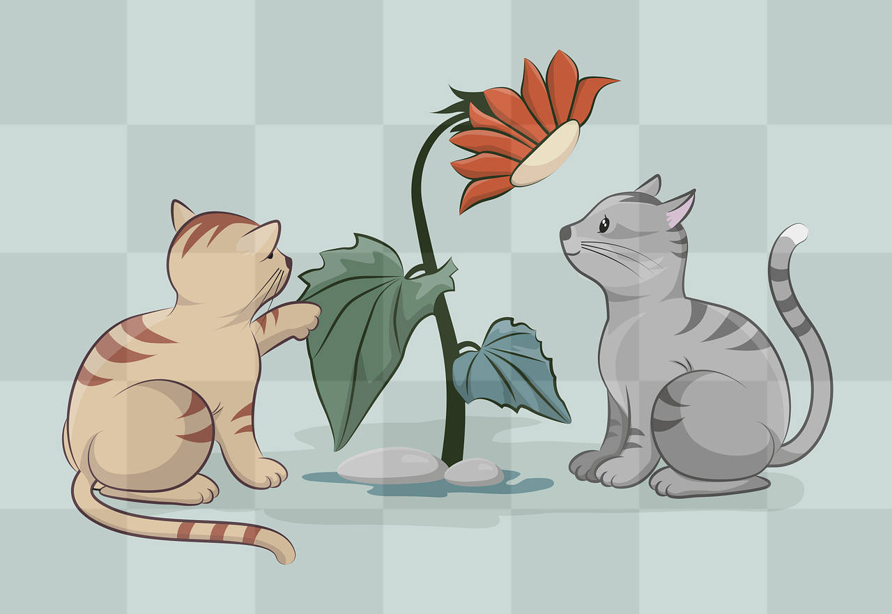 Cute Cat Images with Transparent Background - Free Download for Graphic Design and Advertising