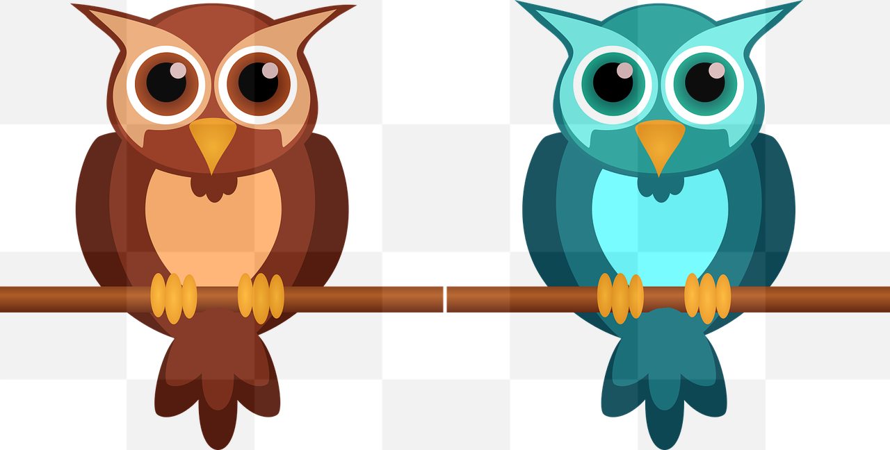 Cute and Nocturnal Owl PNG Images with Transparent Background for Graphic Designers: Free Download