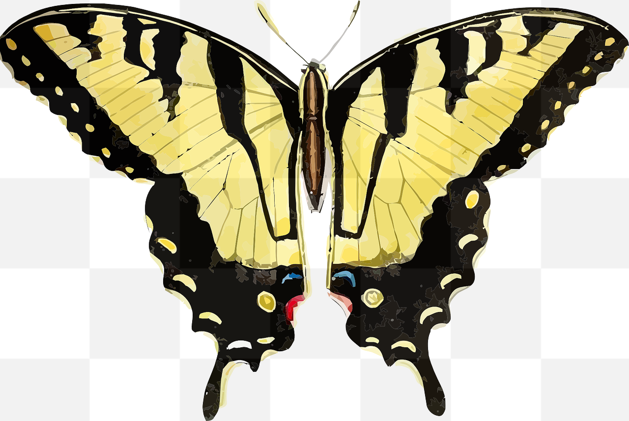 Discover Stunning PNG Images of Butterflies, Animals, and Insects - Perfect for Graphic Design Projects and Promotional Materials