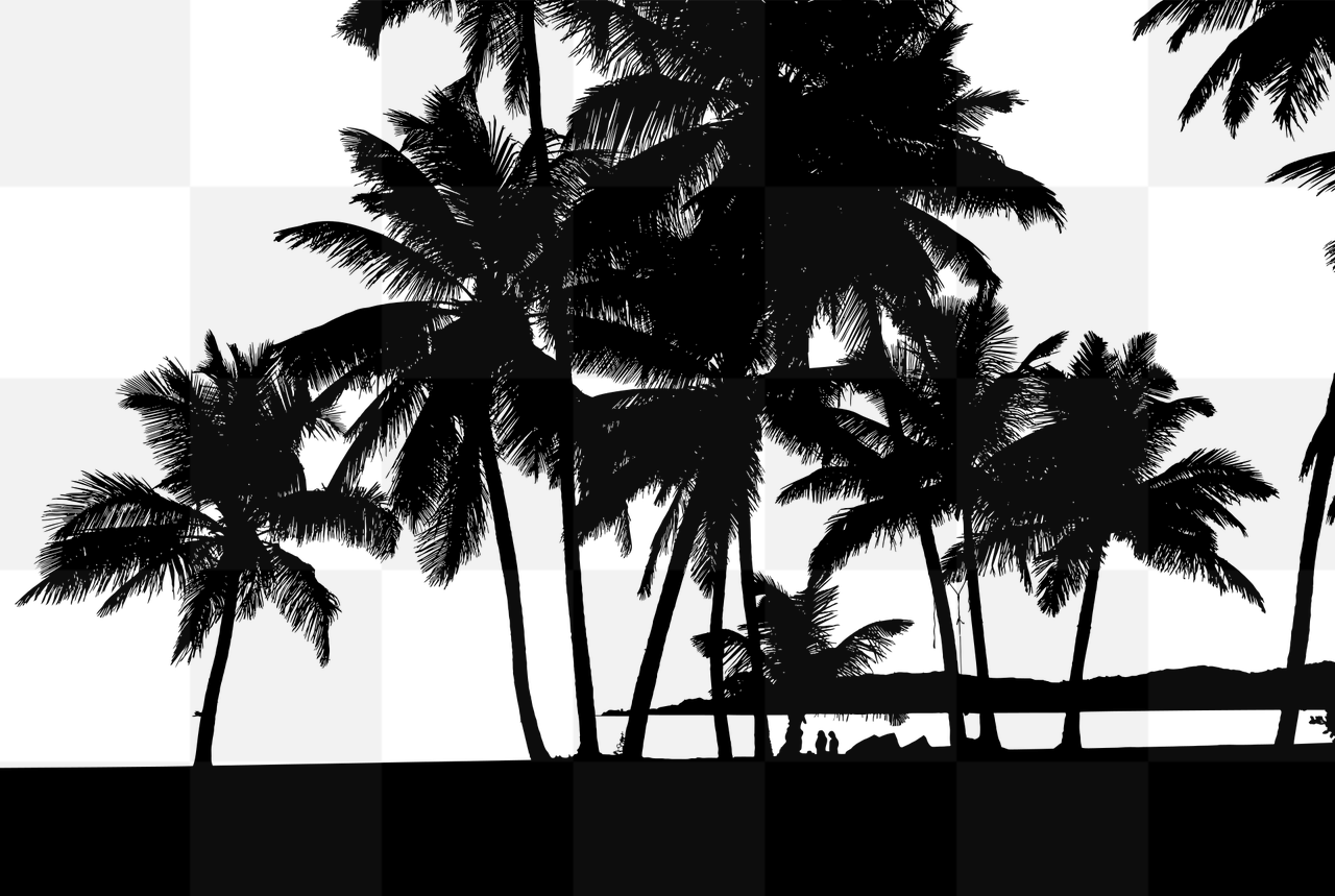 Discover Stunning Tropical Silhouette Trees and Beach PNG Images - Free Download with Transparent Background and Vectors for Graphic Design and...