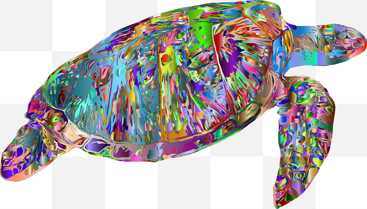 Discover the Beauty of Colorful Sea Turtles with Free PNG Images on Transparent Backgrounds