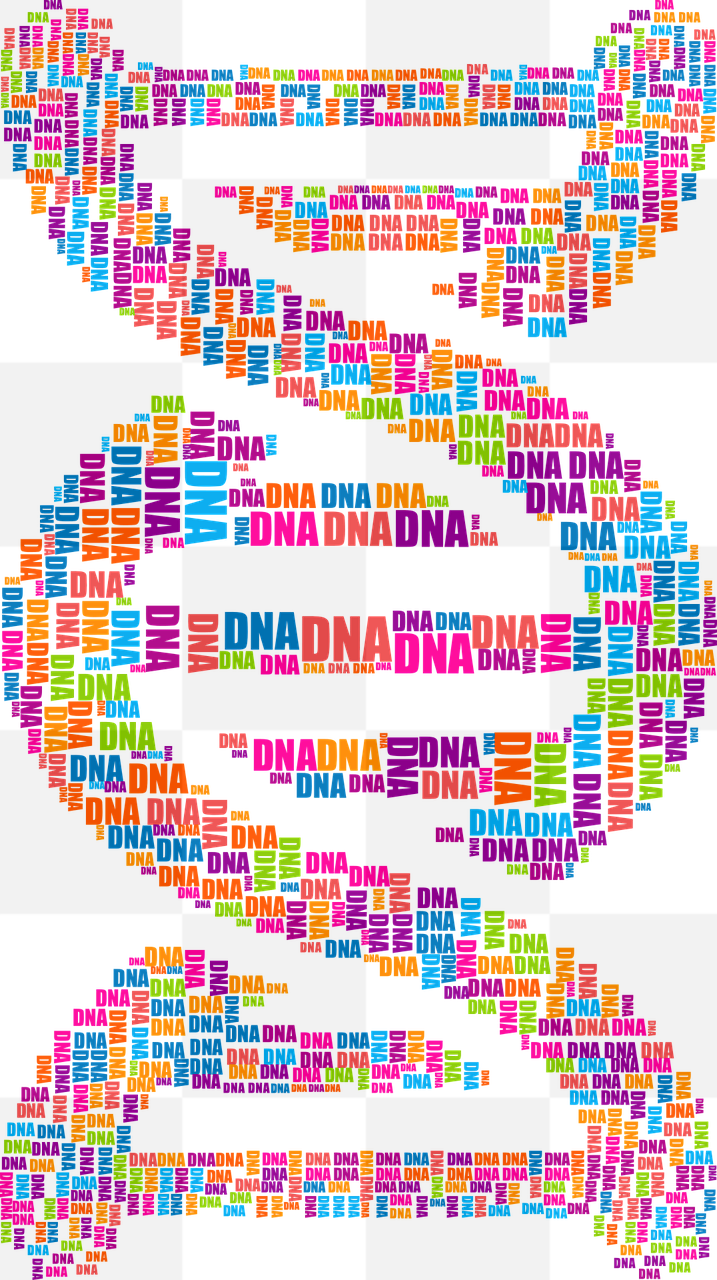 Discover the Beauty of DNA Typography: Free PNG Images with Transparent Background