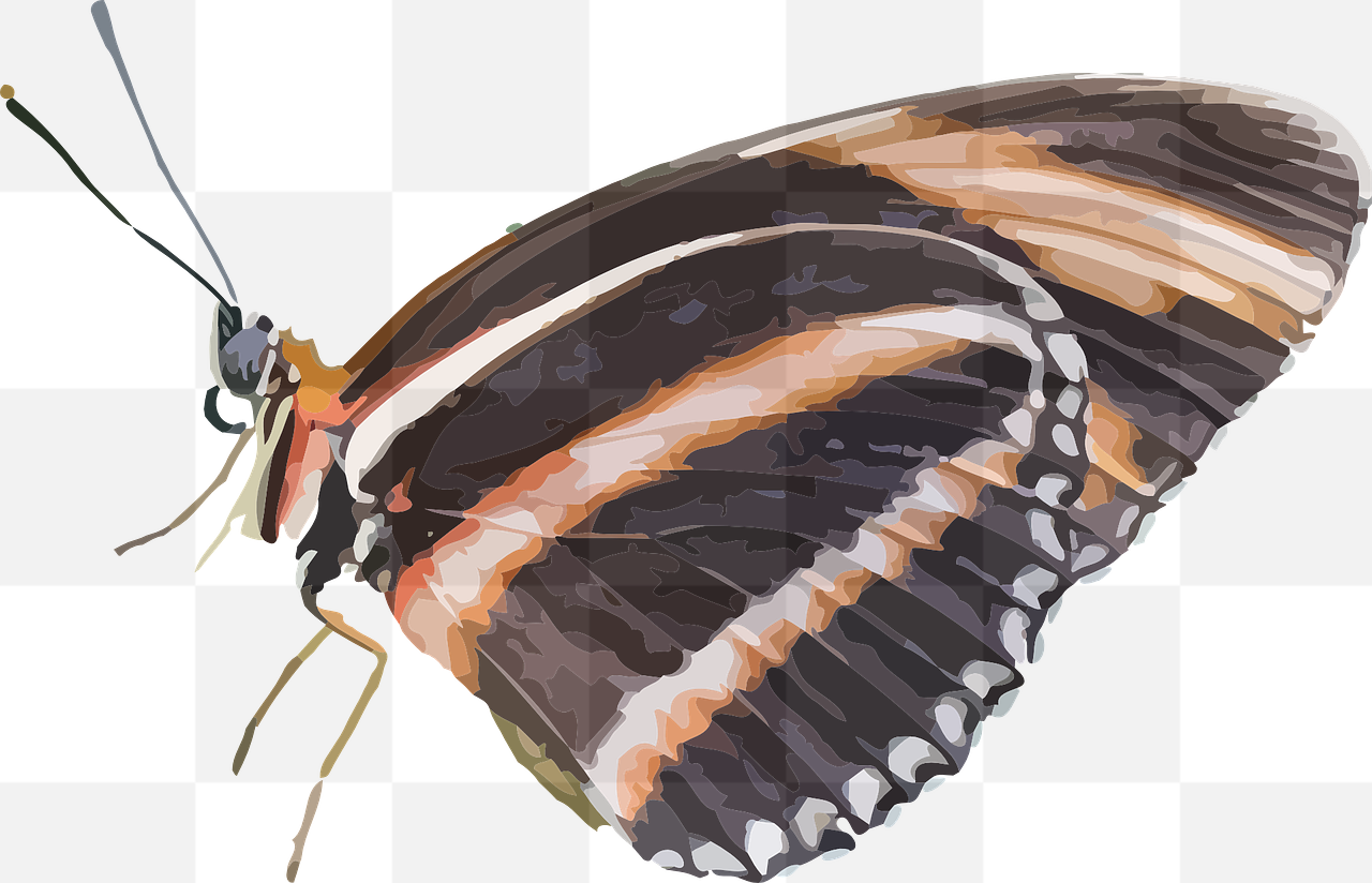 Download Free Animal and Butterfly PNG Images with Transparent Background for Graphic Design and Web Projects