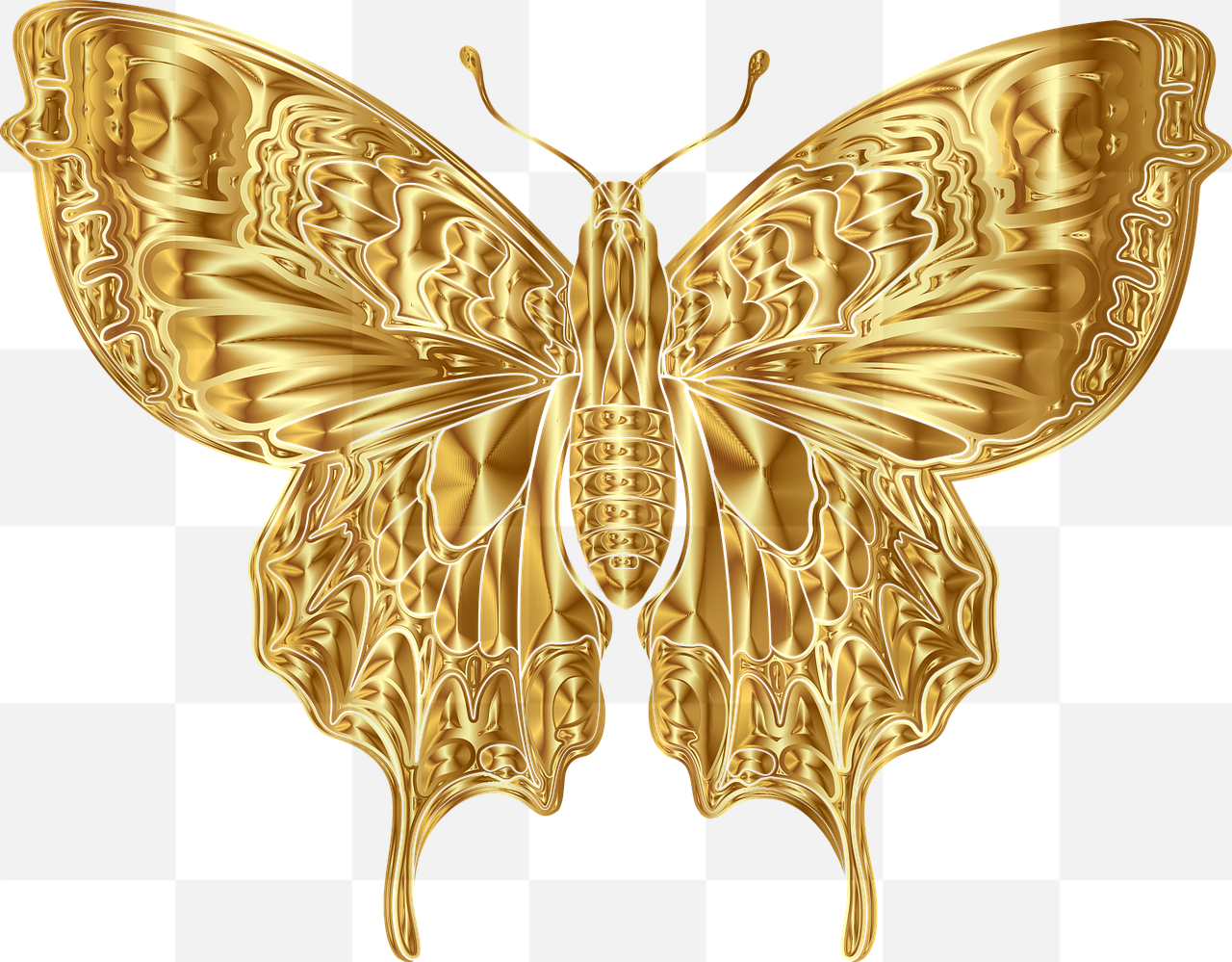 Download Free Insect and Butterfly PNG Images with Transparent Background for Graphic and Web Design Projects