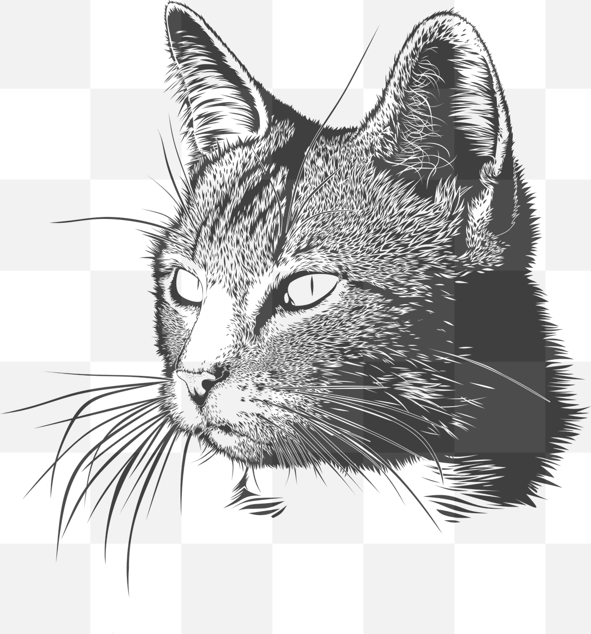 Download High-Quality Cat Head PNG Images for Graphics and Designs