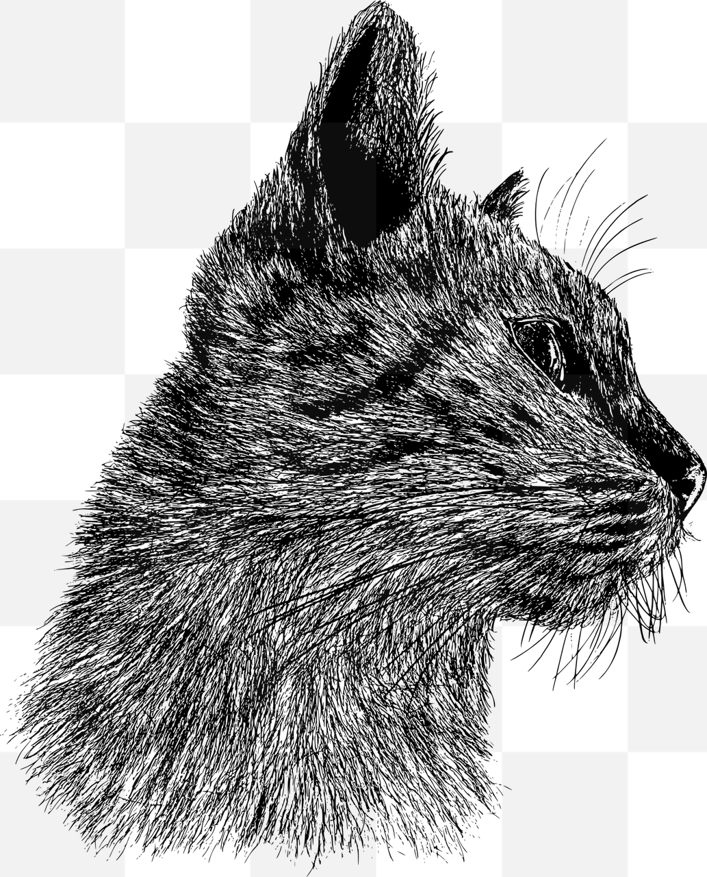 Download High-Quality Cat Sketch PNG Images with Transparent Background for Graphic Design and Advertising Needs