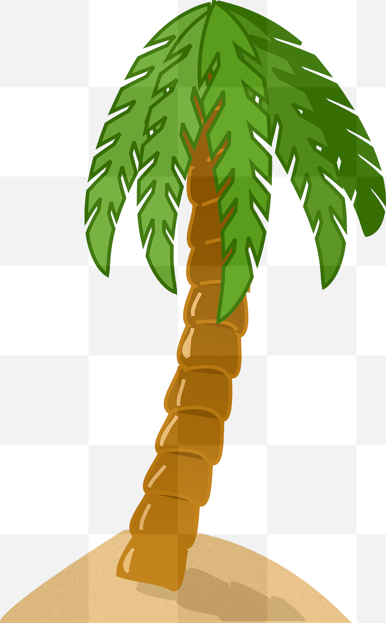 Download High-Quality Palm Tree PNG Images for Free with Transparent Backgrounds