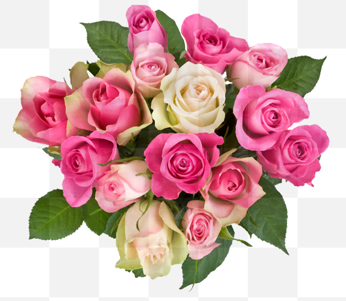 Download PNG image. Free PNG Images With Transparent Background. The history of pink roses begins around 35 million years ago, when the first trace...