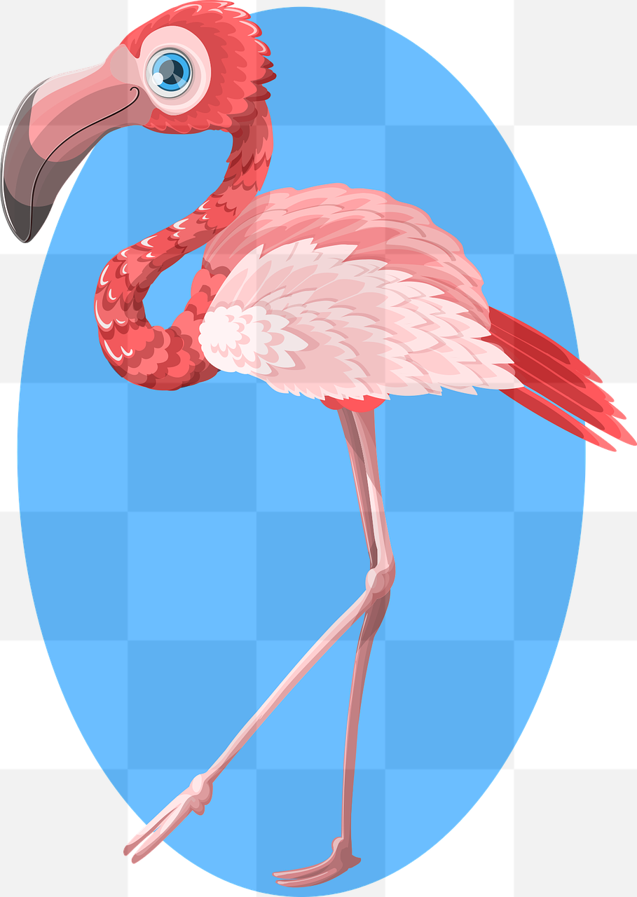 Download Stunning Flamingo PNG Images with Transparent Background - Perfect for Graphic Designers and Advertising