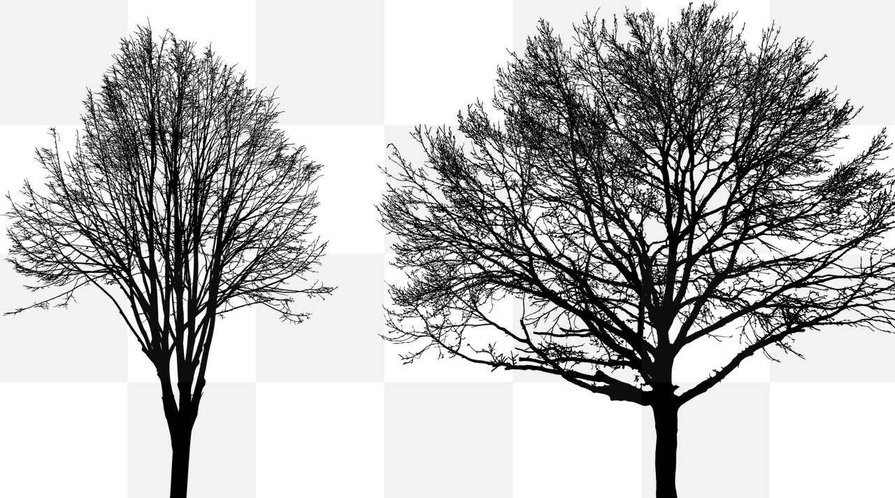 Download Stunning Tree and Landscape Silhouettes in Vector PNG Format: Free to Use for Graphic Design and Advertising!
