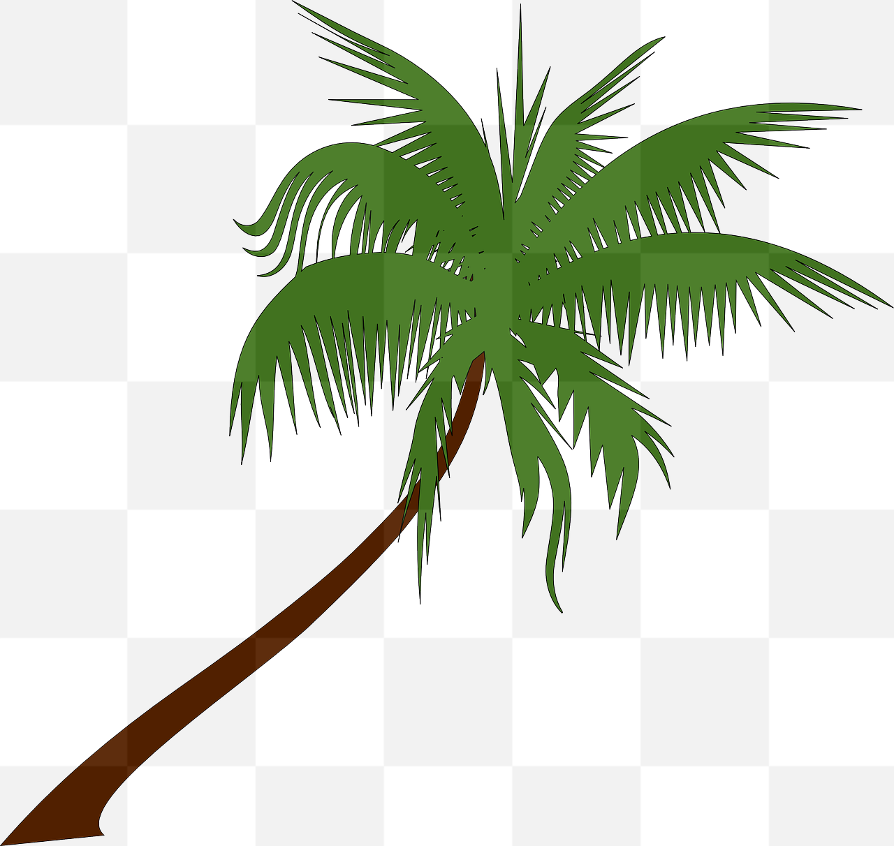 Download high-quality palm tree and coconut vector images with transparent backgrounds for graphic design and advertising