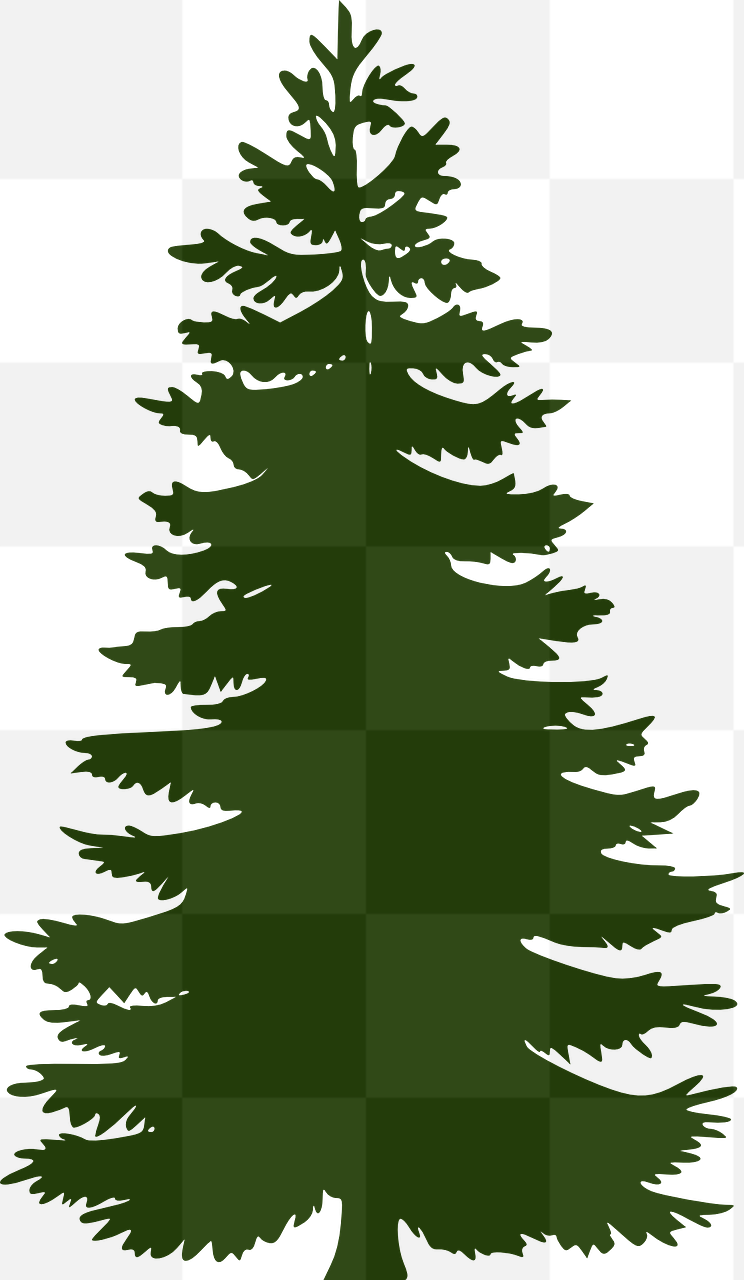 Explore Our Collection of Stunning Pine Tree PNG Images with Transparent Backgrounds - Perfect for Your Christmas Graphics and Designs!