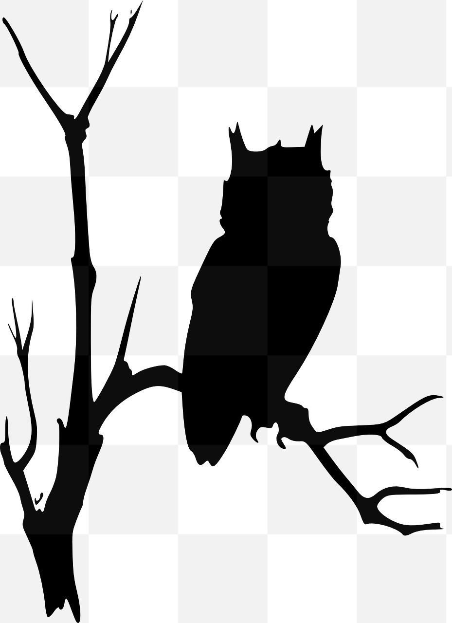 Explore a Stunning Collection of Free Vector Owl PNG Images with Transparent Backgrounds for Graphic Design and Advertising Projects