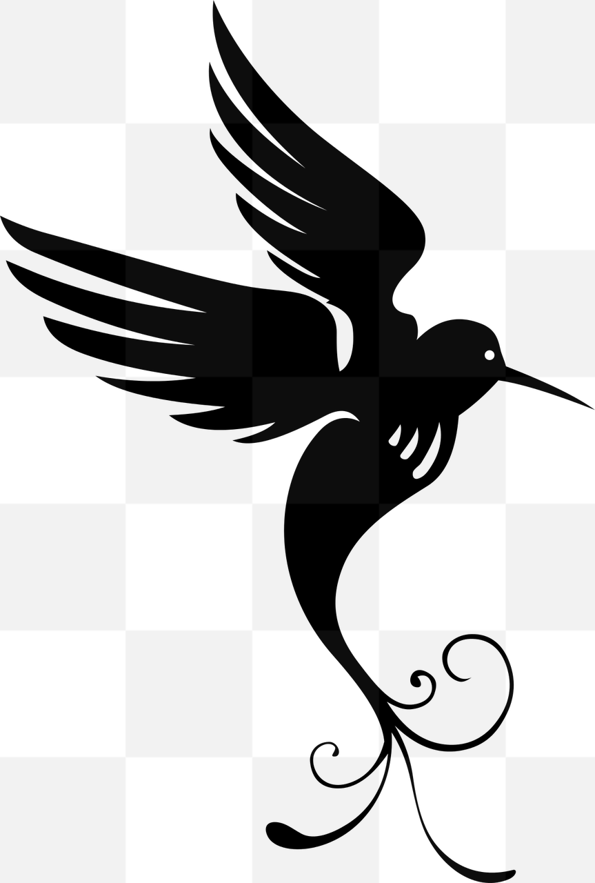 Explore an Array of Stunning Bird and Animal PNG Images with Transparent Backgrounds - Free for Download