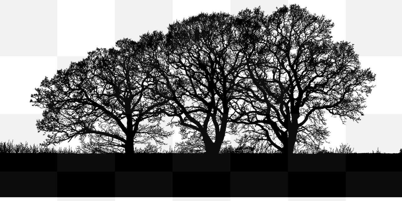 Explore the Beauty of Nature with Free Downloadable Forest and Tree Silhouette PNG Images