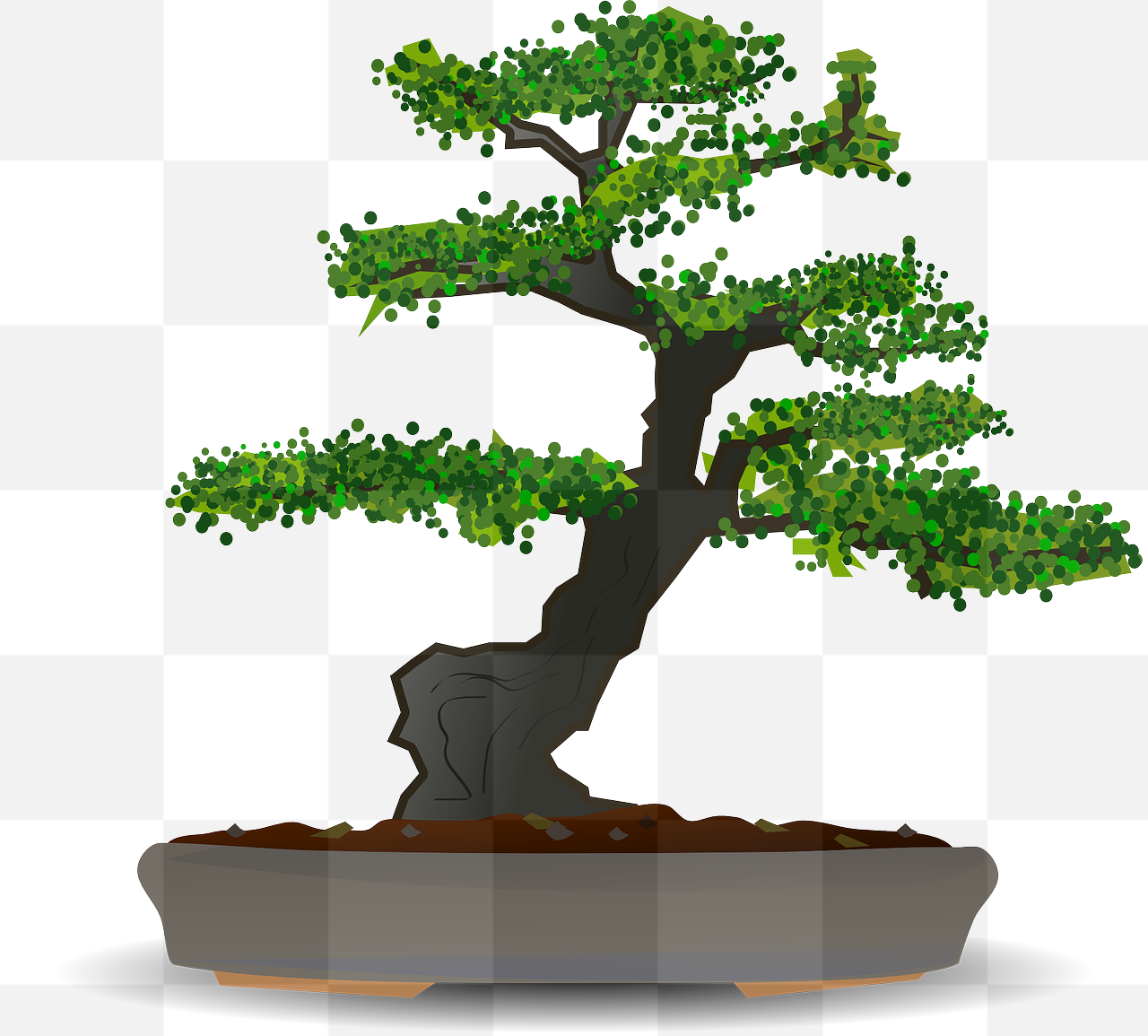 Free Downloadable Bonsai and Dwarf Tree PNG Images with Transparent Backgrounds for Graphic Design and Advertising