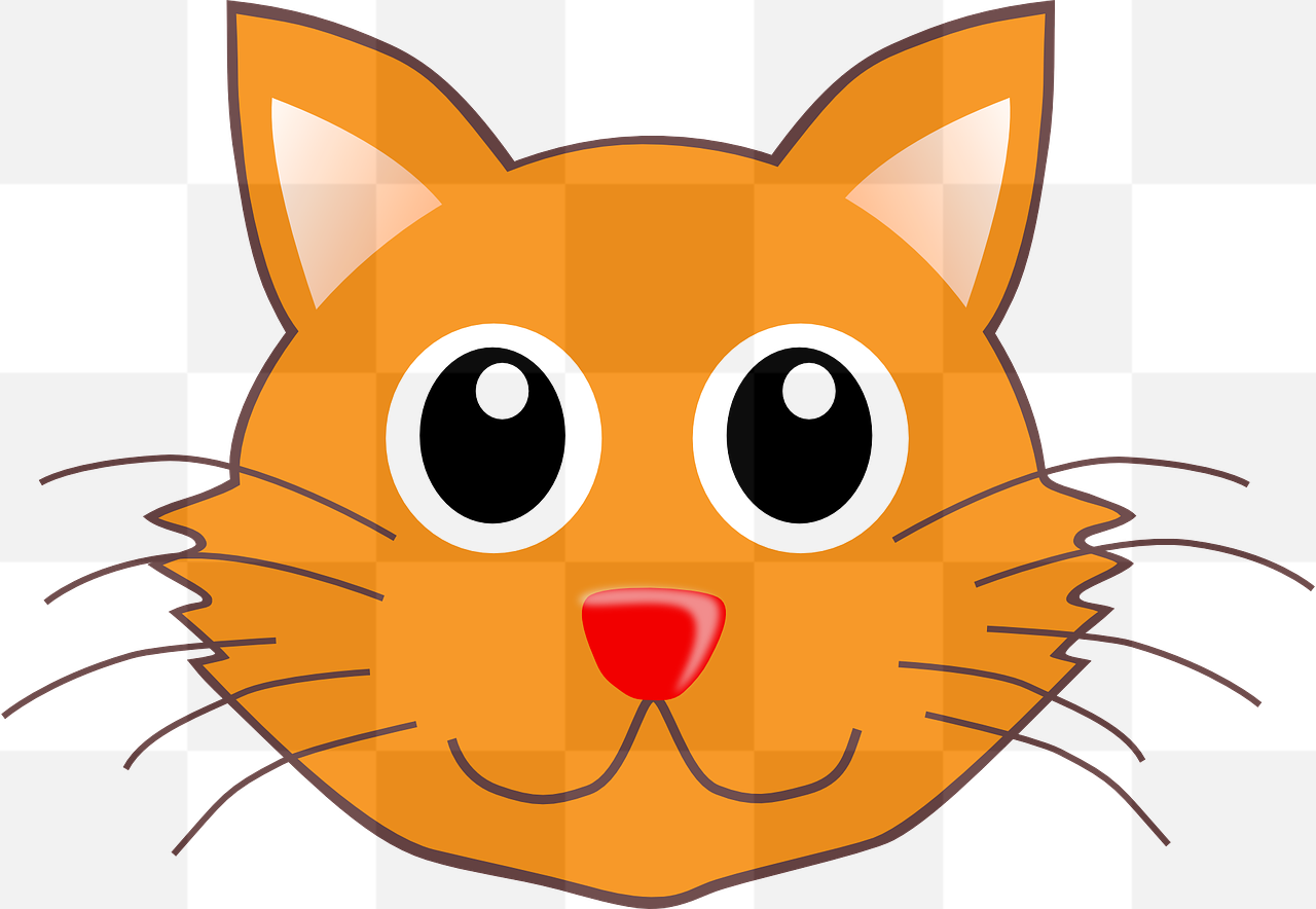 Free High-Quality Cat Head Portraits in PNG Format with Transparent Background for Graphic Design and Advertising