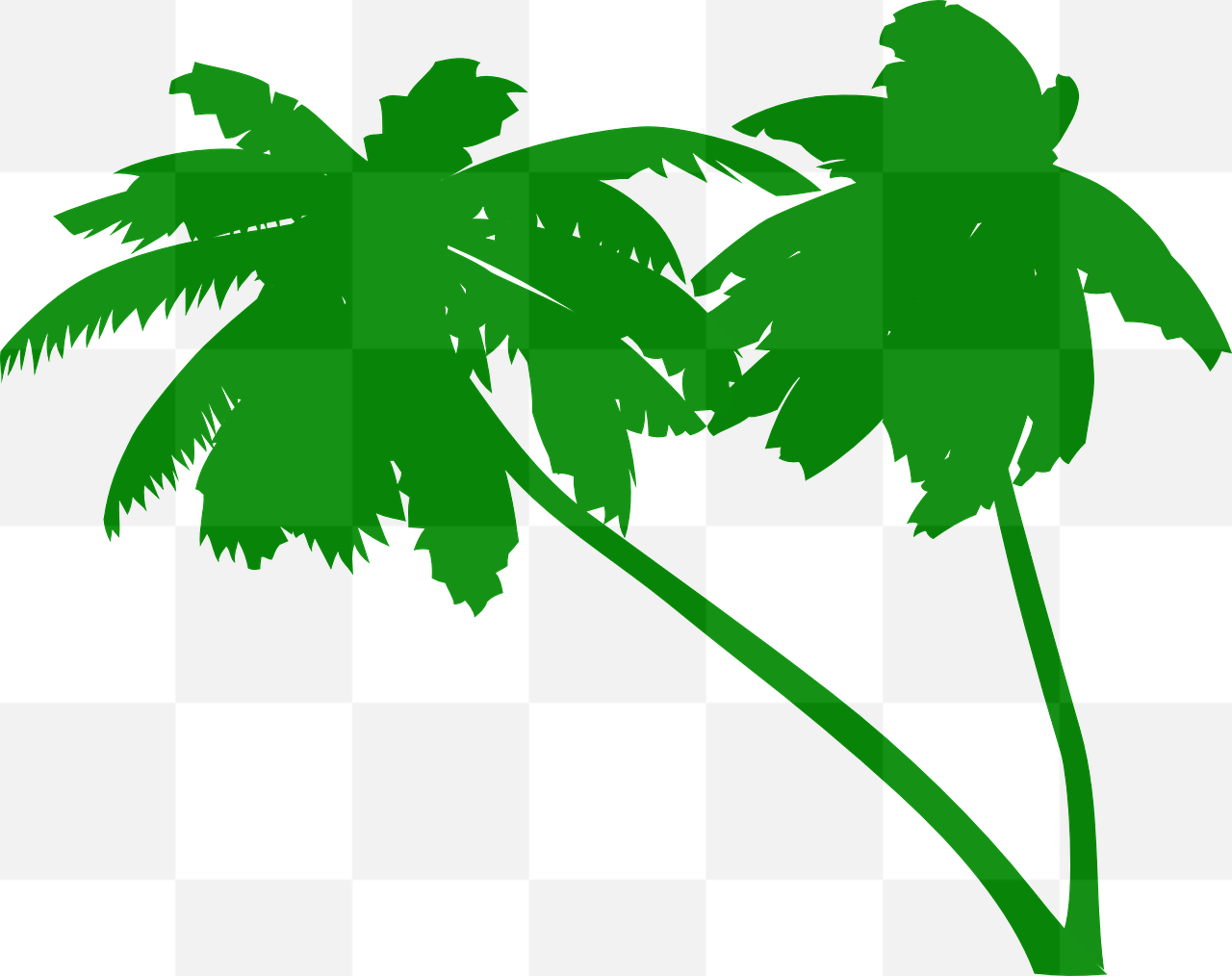 Free High-Quality Palms and Coconut Tree PNG Images with Transparent Backgrounds for Graphic Design and Advertising
