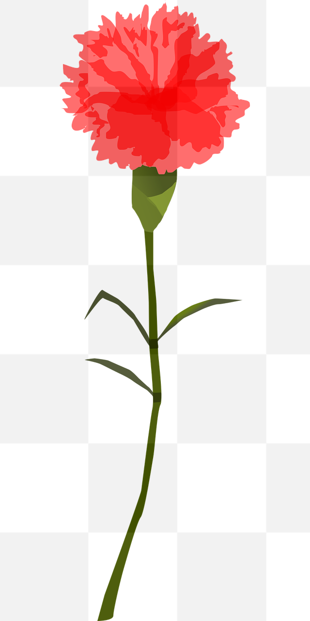 Free PNG Flower Images with Transparent Backgrounds: Perfect for Graphic Design and Advertising