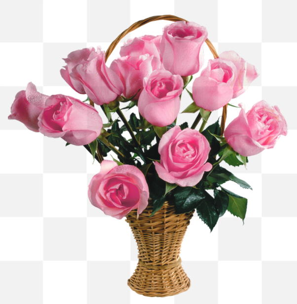 Free PNG Images With Transparent Background. The history of pink roses begins around 35 million years ago, when the first trace of a rose was found...
