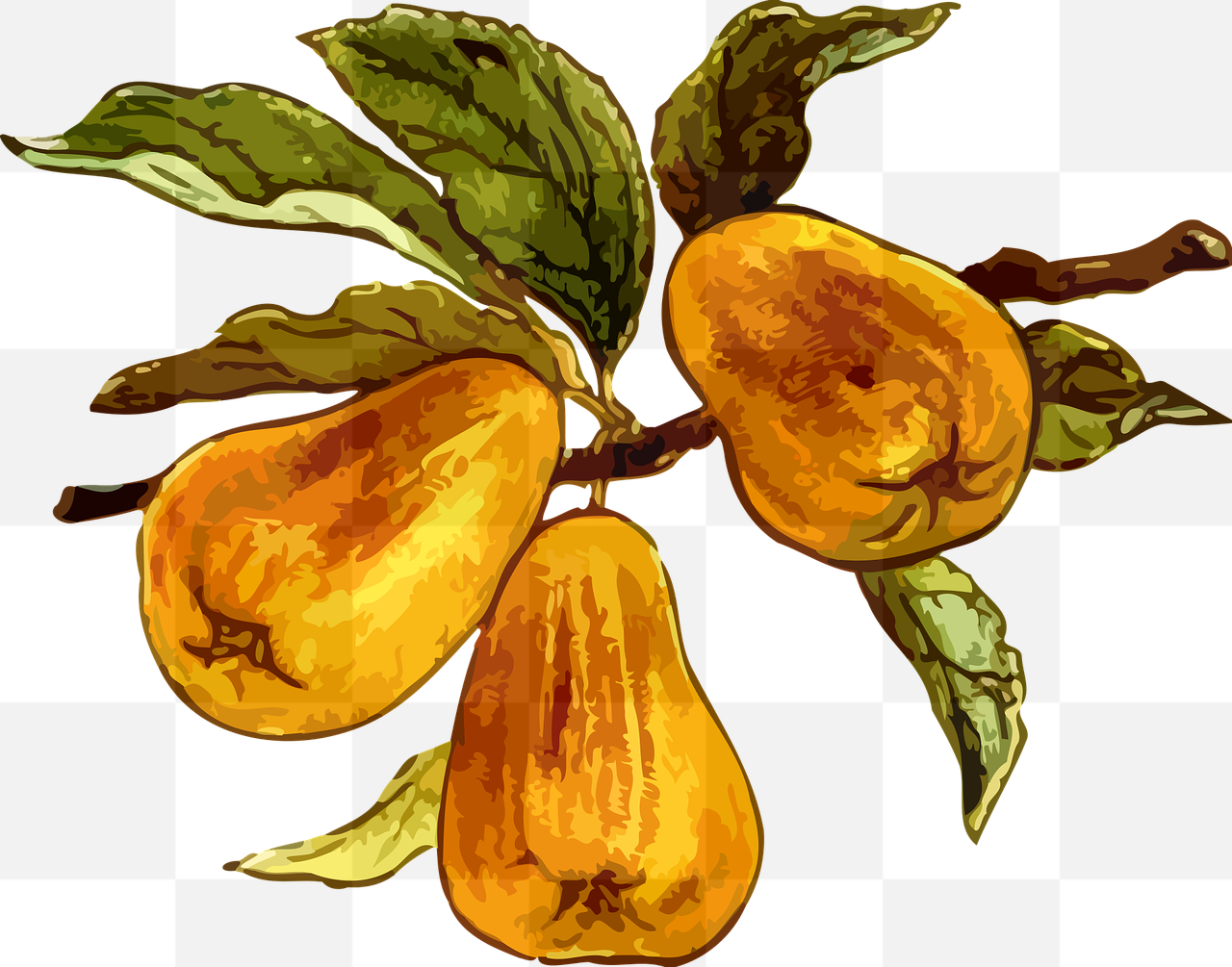 Free Vector Images of Branches and Fruits for Graphic Design and Advertising