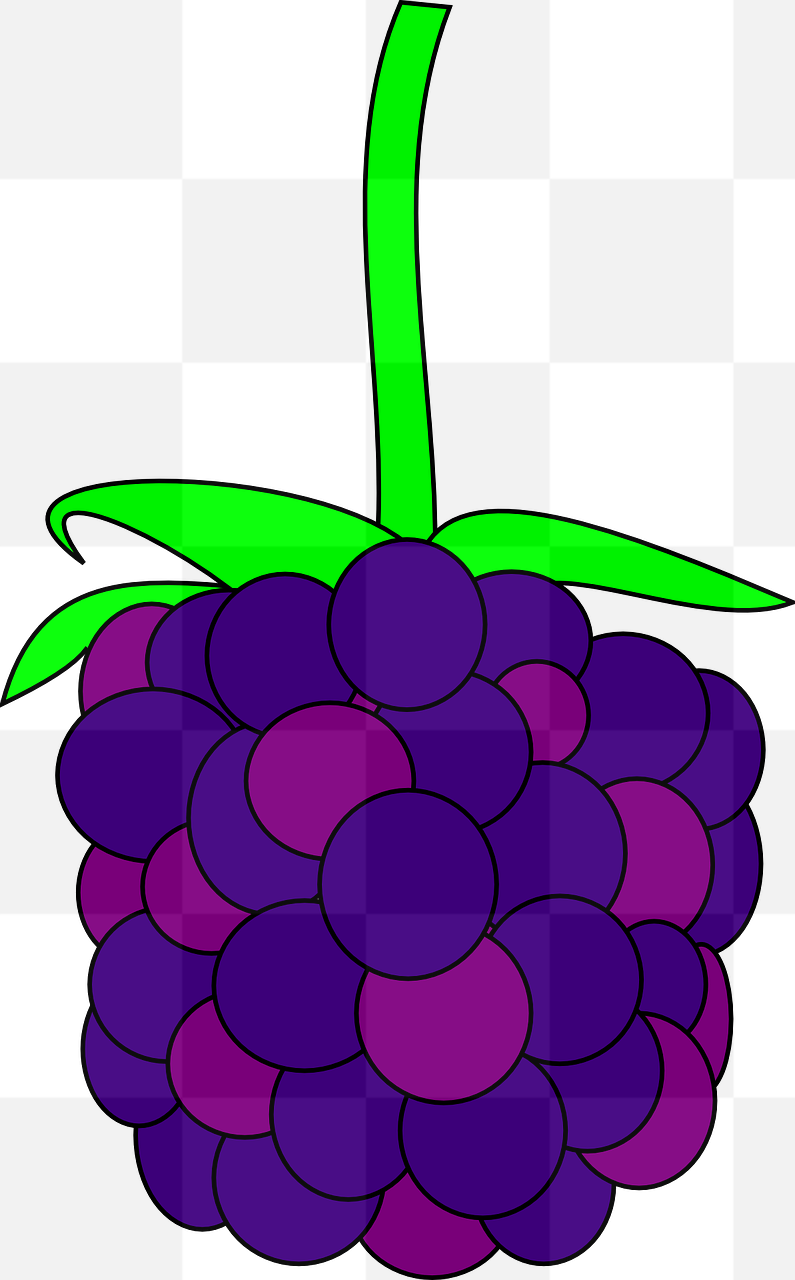 Free and Transparent Blackberry PNG Images for Your Graphic Design Projects
