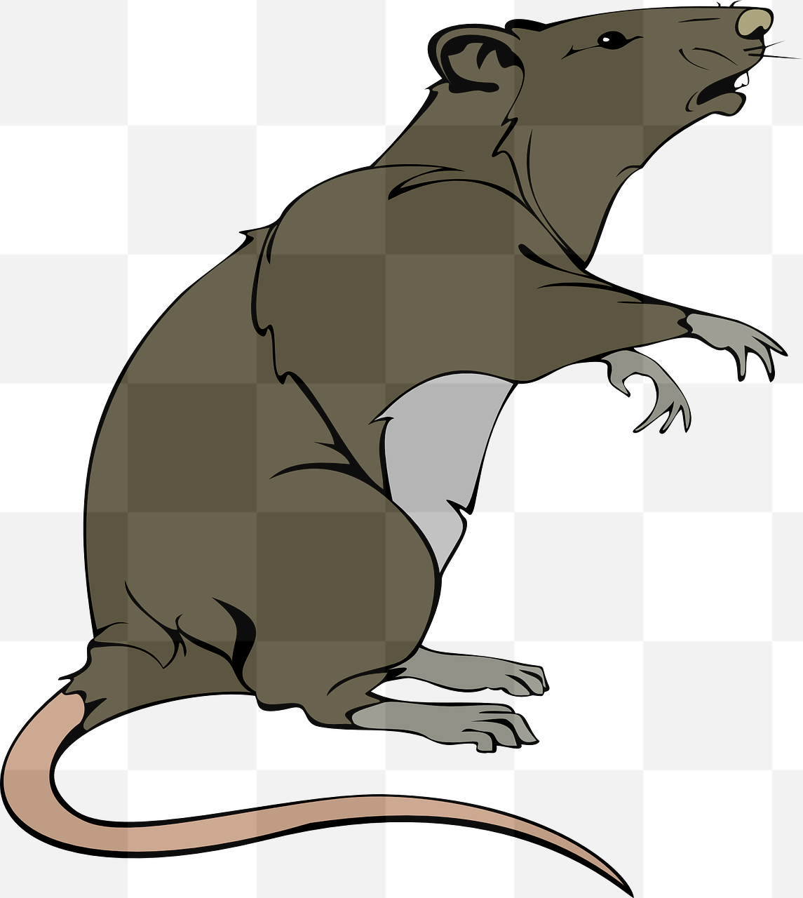 Free and Transparent Rat and Rodent PNG Images for Graphic Design and Advertising