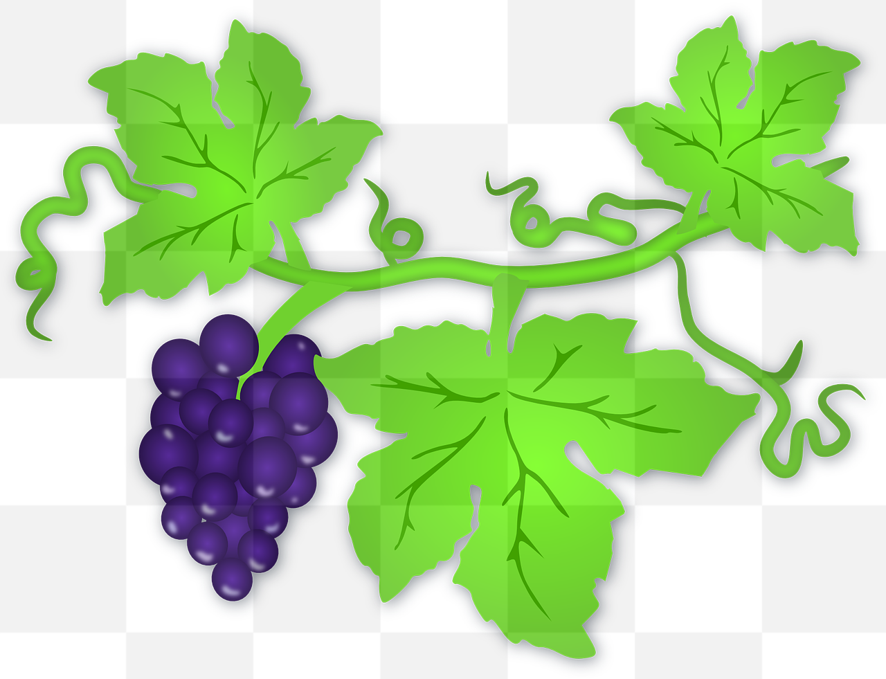 Fresh and Juicy Green Grapes - Free Vector PNG Images for Graphic Design and Advertising