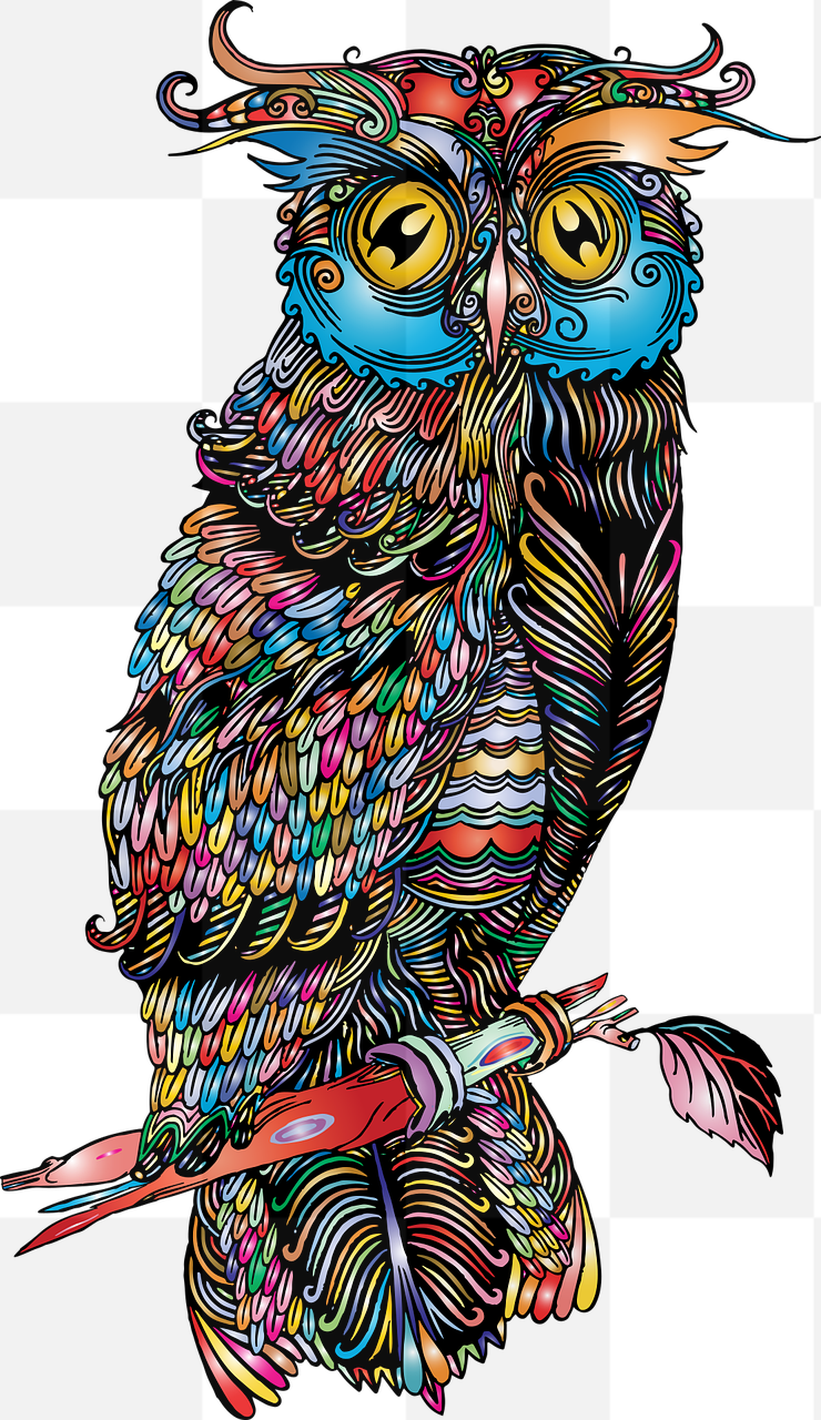 Get Creative with Stunning Owl and Bird PNG Images on Transparent Backgrounds for Graphic Design!