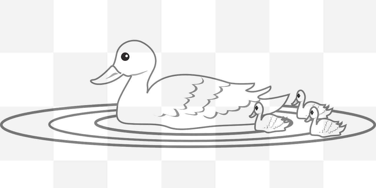Get High-Quality Duck Swimming Images for Graphic Design and Advertising with Transparent Backgrounds - Free PNG Download