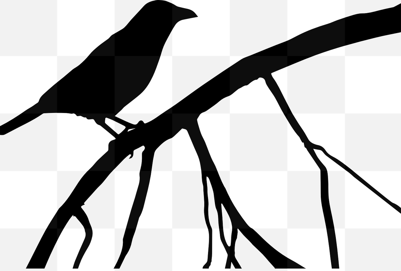 Halloween Graphics: Download Free PNG Images of Crow and Raven with Transparent Background
