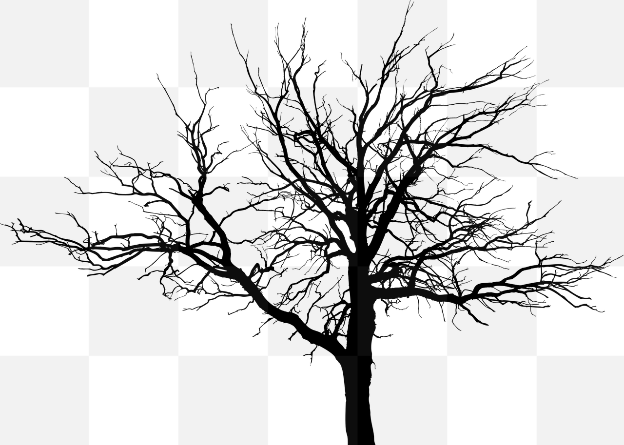 High-Quality Silhouette Tree PNG Images with Transparent Backgrounds - Free Download!