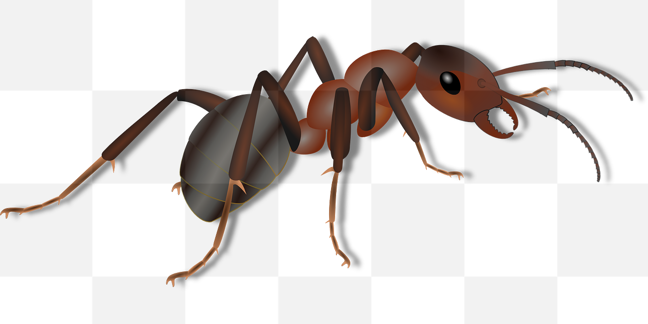 High-Quality Transparent Animal PNG Images for Graphic Design & Advertising