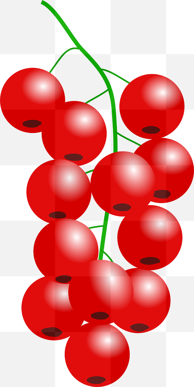 High-Quality Vector PNG Images of Juicy Currants and Cranberries with Transparent Background for Graphic Designers