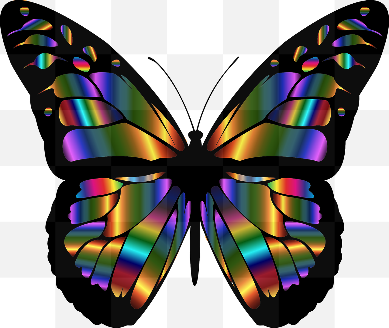 High-quality PNG animal and abstract art vectors with transparent backgrounds – free download for graphic design