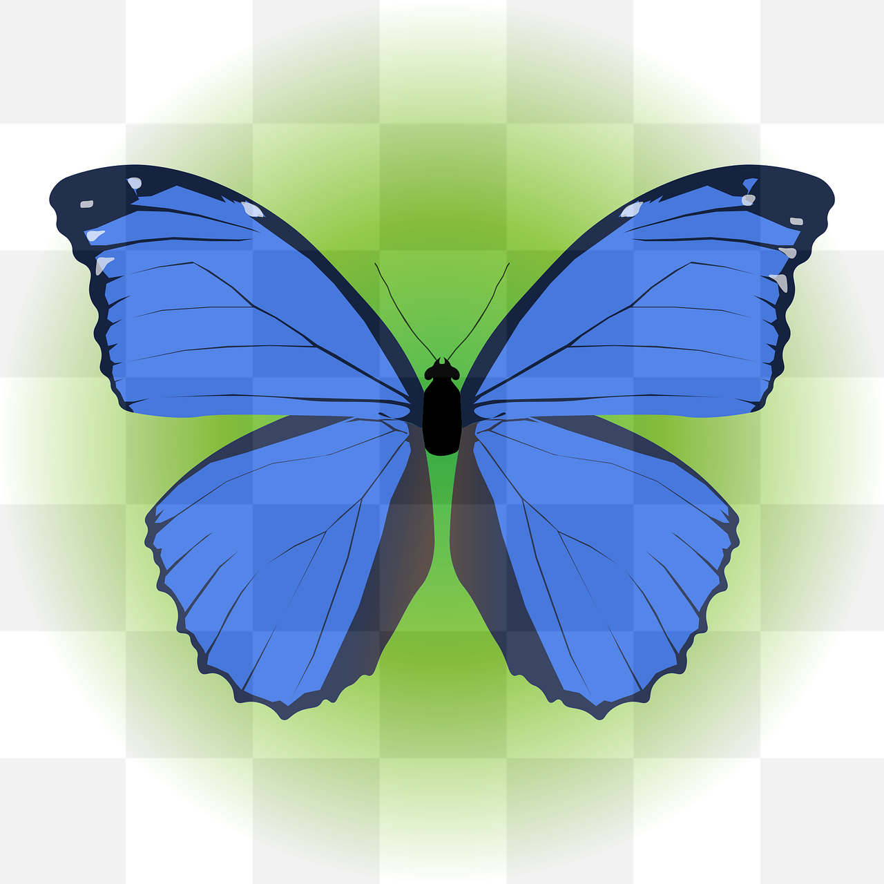 Morpho Butterfly PNG Images: Perfect For Graphic Design, Web Design & Creative Projects