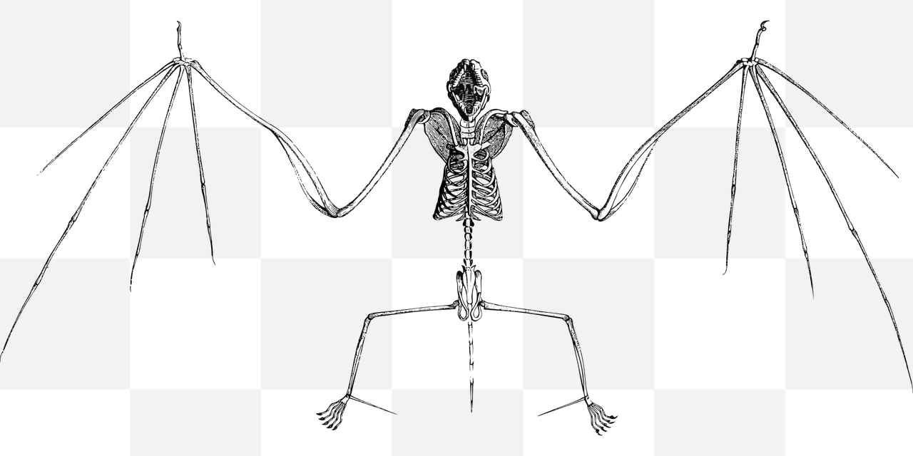 Spooky PNG Images with Transparent Backgrounds: Perfect for Halloween-themed Graphics and Designs