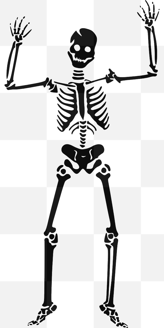 Spooky Skeletons and Witches: Download Free PNG Images with Transparent Backgrounds for Halloween Graphics and Design