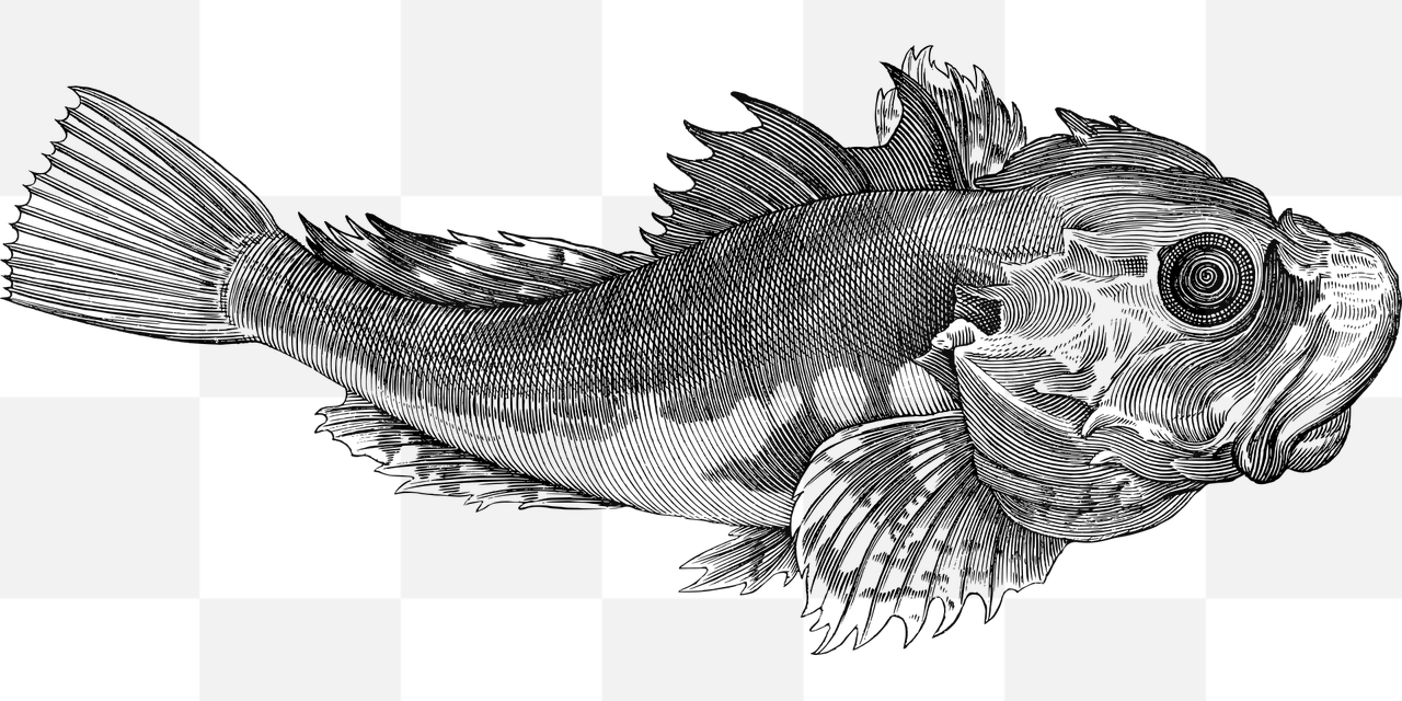 Stunning Fish and Animal Line Art: Free PNG Images with Transparent Background for Graphics and Design