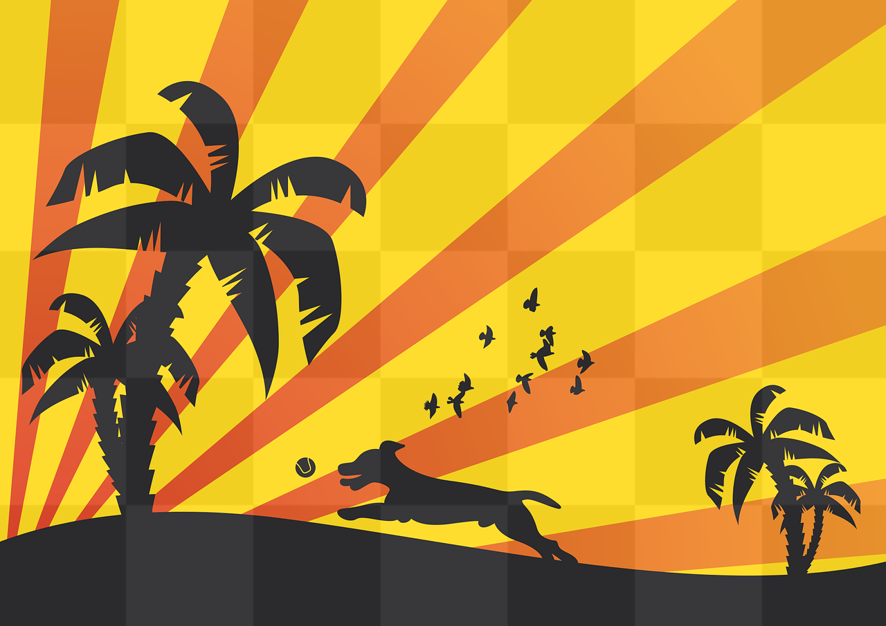 Stunning PNG Dog Images with Transparent Background for Your Summer Graphic Design Projects