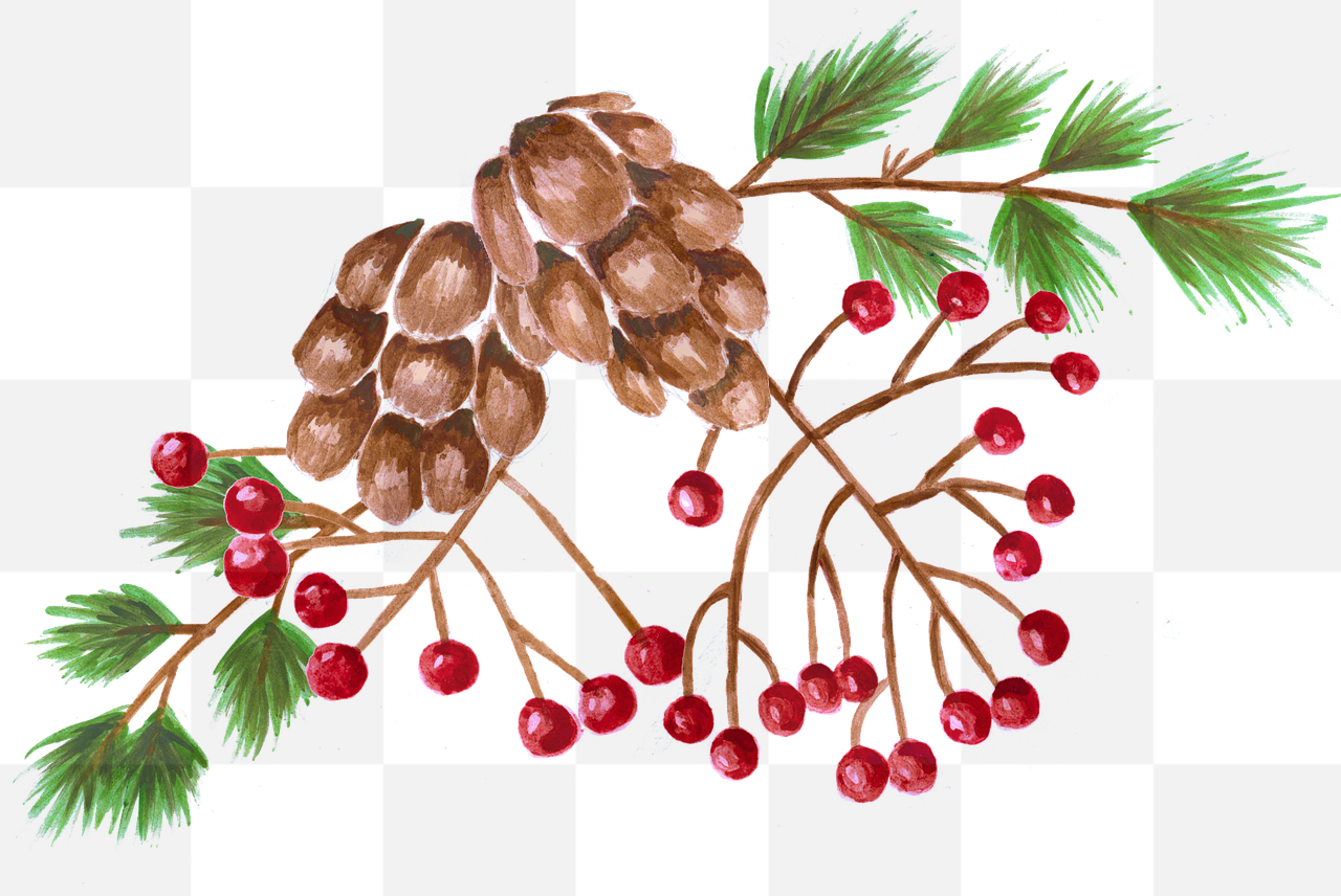 Stunning PNG Images of Rowan Berry, Pine Cone, and Pine Needles with Transparent Background - Perfect for Graphic Design, Advertising, and Banners!
