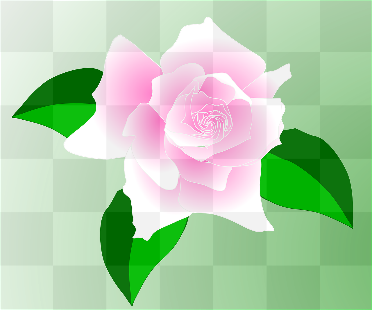 Stunning Pink Rose PNG Images with Transparent Background for Design and Graphics