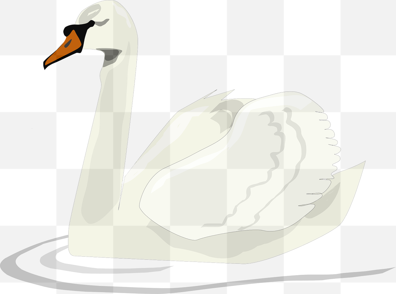 Stunning Swan PNG Images with Transparent Background - Free Download for Graphic Design and Advertising!