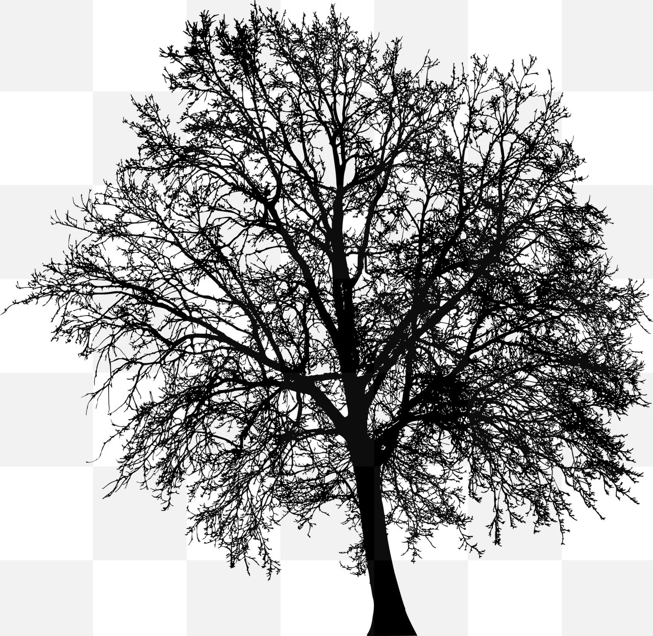 Stunning Tree Silhouette PNG Images with Transparent Background - Perfect for Graphic Design and Advertising!