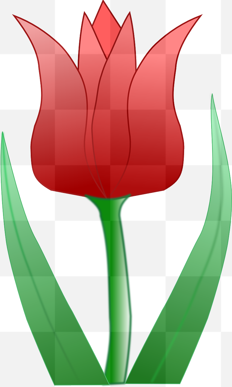 Stunning Tulip Images with Transparent Background: Free Download for Graphic Design