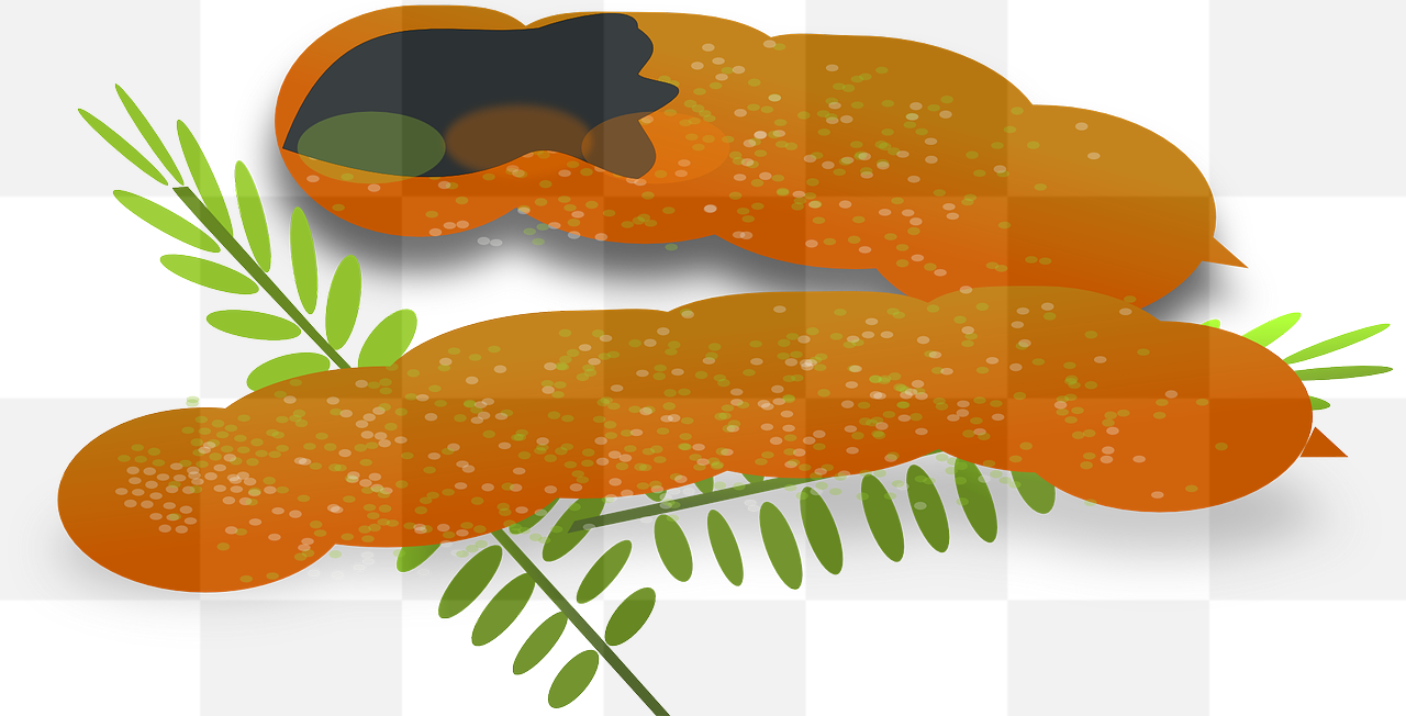 Tamarind: High-quality PNG Images with Transparent Background for Free Download