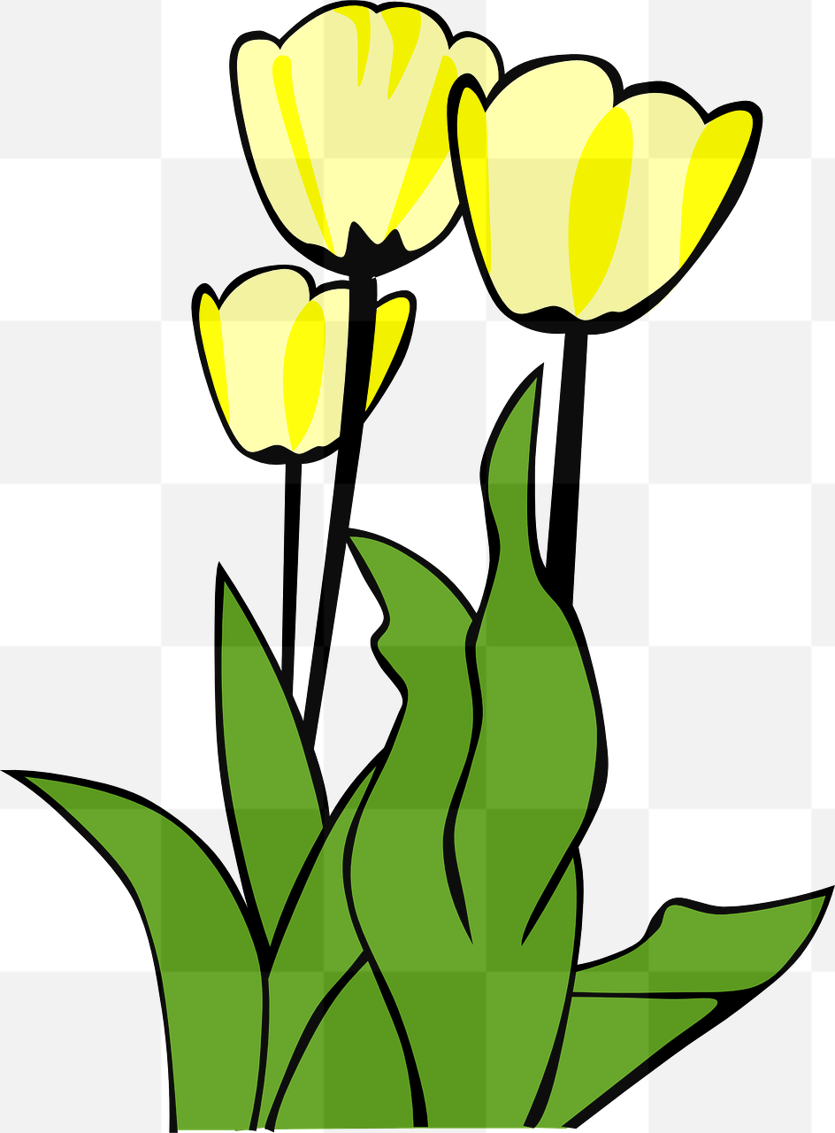 Tulip Vectors with Transparent Background: Perfect for Graphic Designers and Advertising