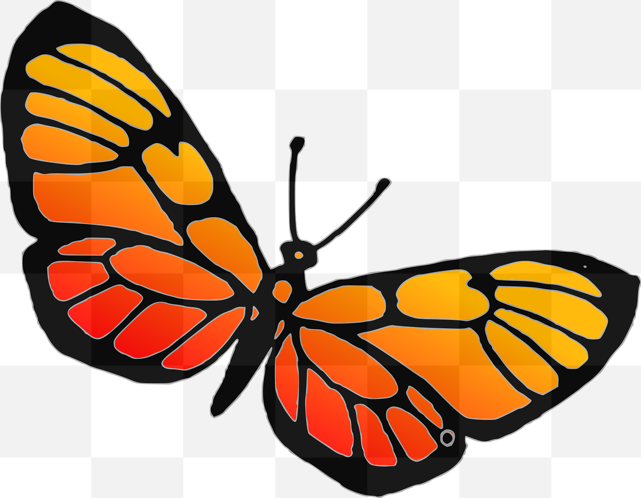 Unleash Your Creativity with Free PNG Butterfly Images: Perfect for Web Design, Advertising, and More!