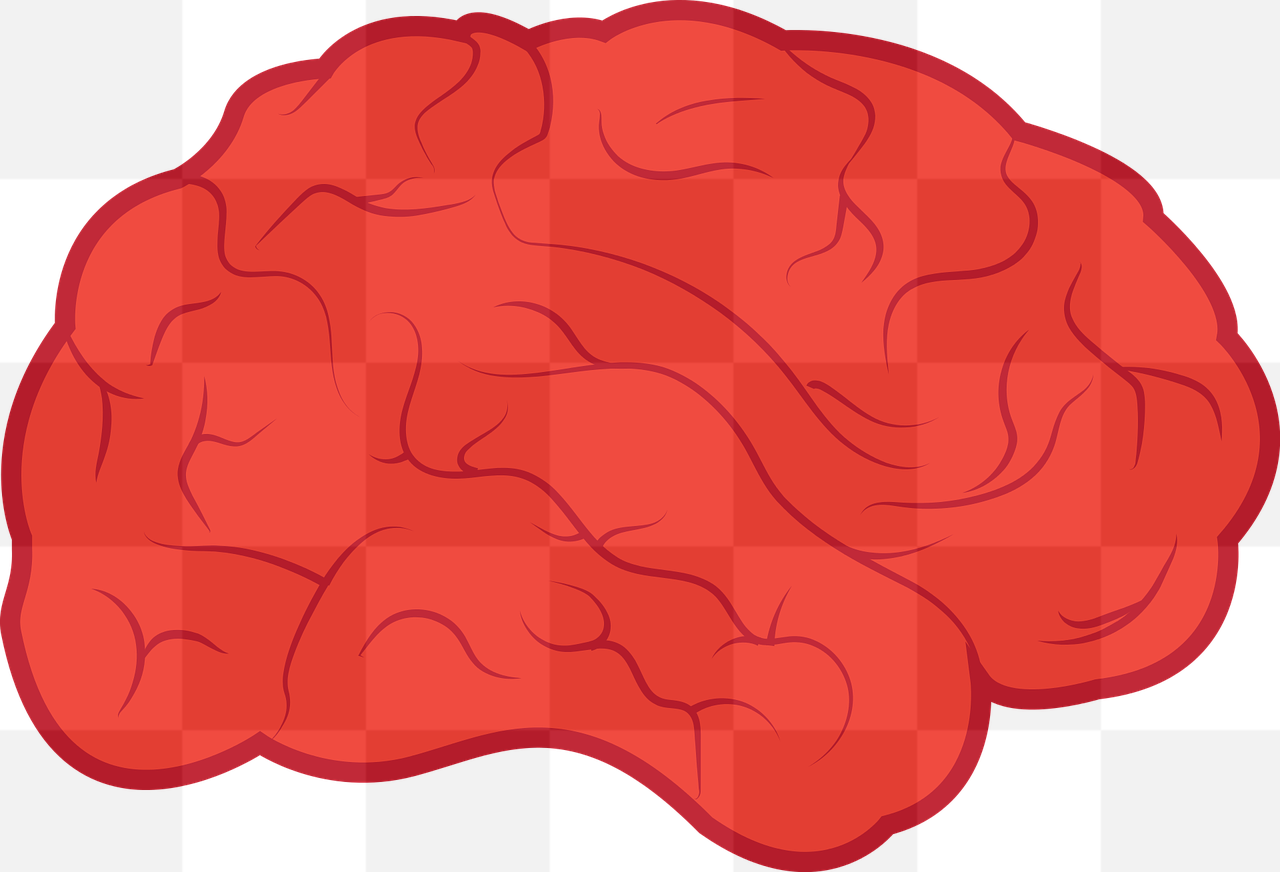 Unlock the Power of Your Mind with Free Downloadable Brain PNG Images and Vectors in Transparent Background for Graphic Design and Advertising