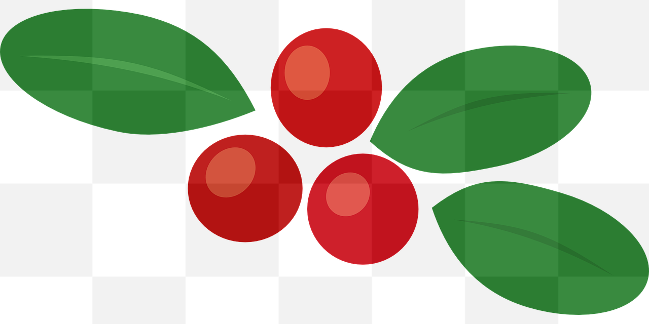 Vibrant Cowberry PNG Images with Transparent Background for Graphic Design